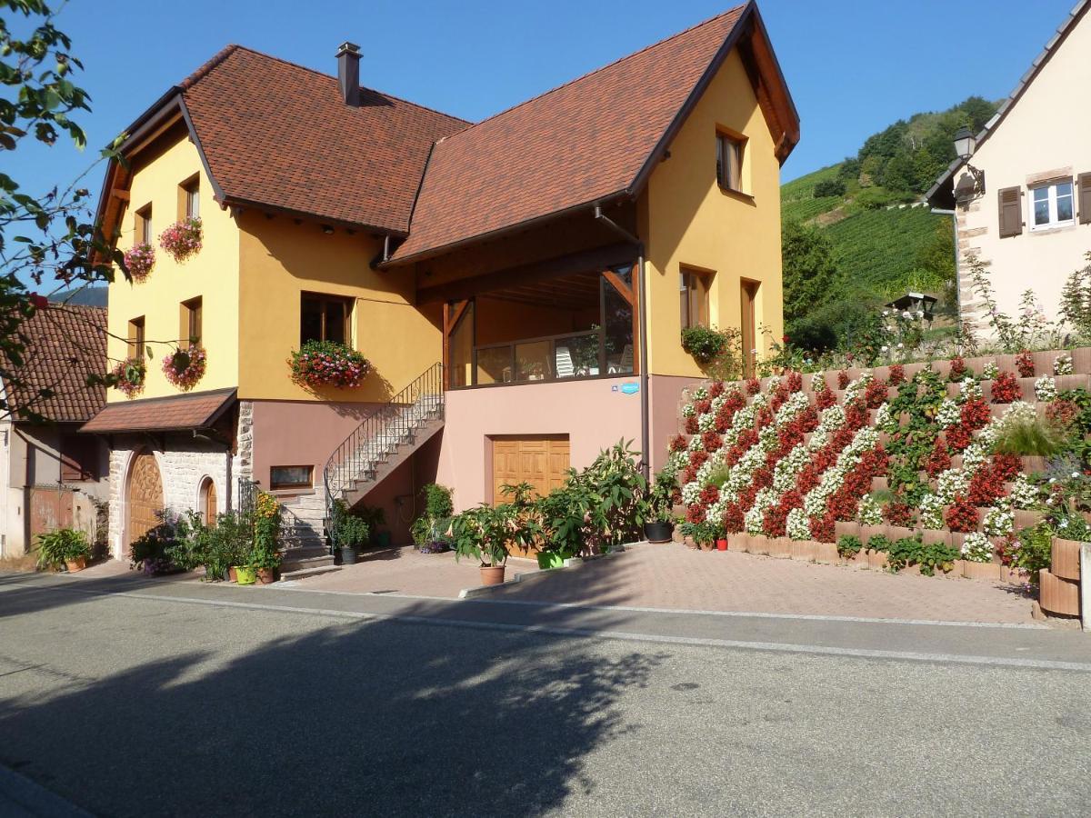 Villa Schiefferberg Bernardvillé Esterno foto