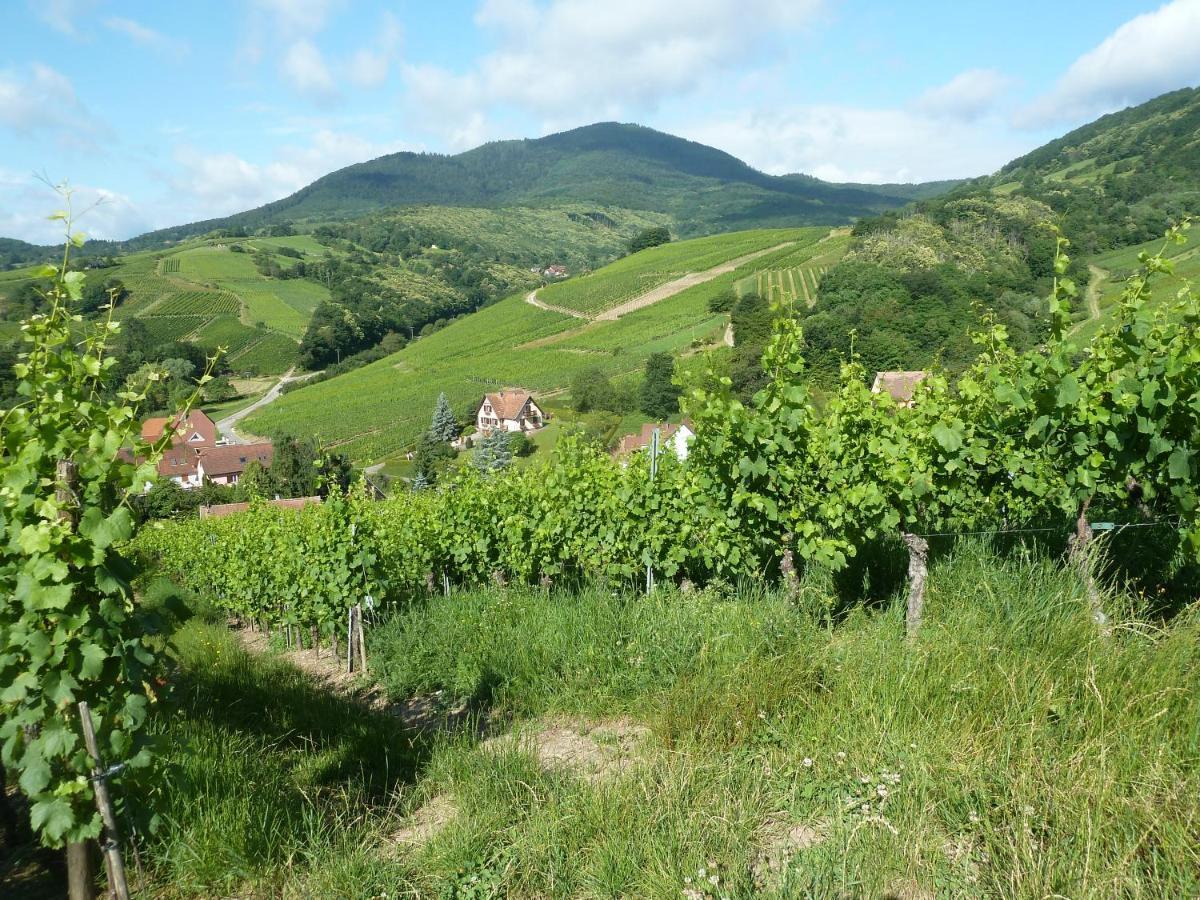 Villa Schiefferberg Bernardvillé Esterno foto