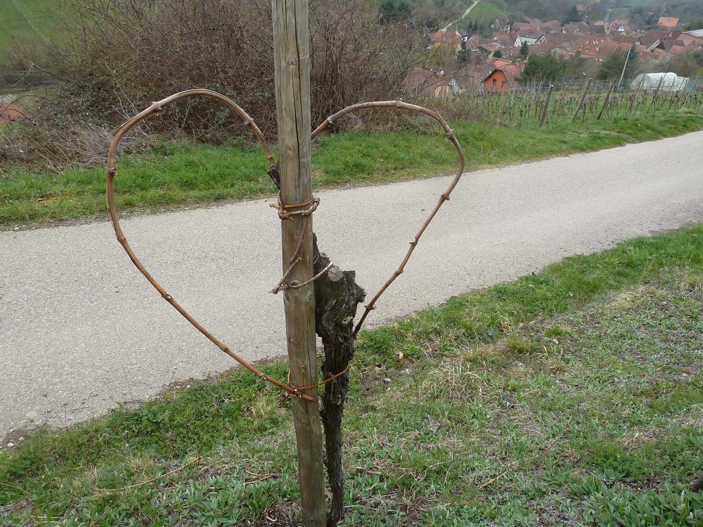 Villa Schiefferberg Bernardvillé Esterno foto