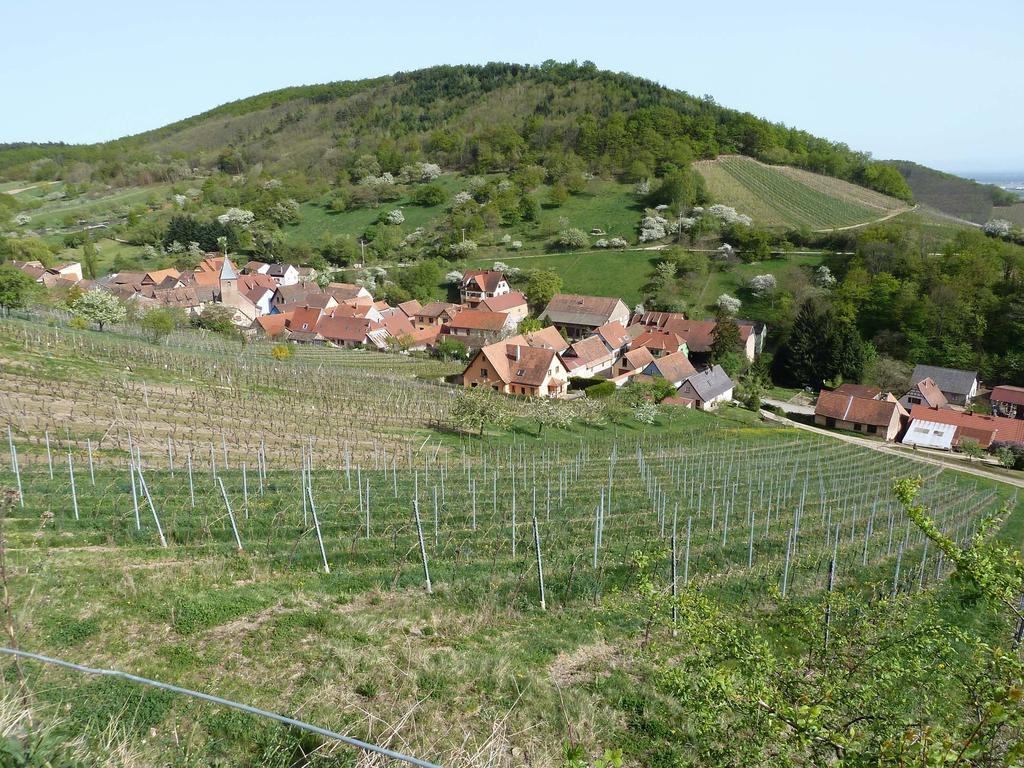 Villa Schiefferberg Bernardvillé Esterno foto