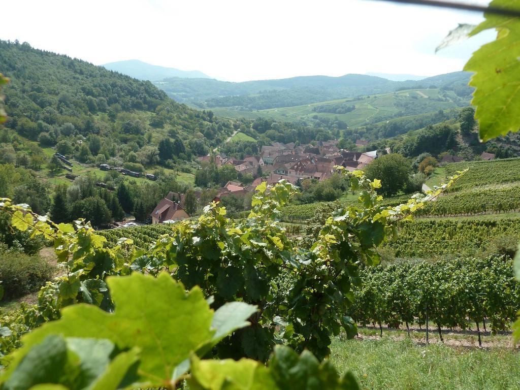 Villa Schiefferberg Bernardvillé Esterno foto